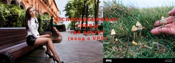 МДПВ Ладушкин