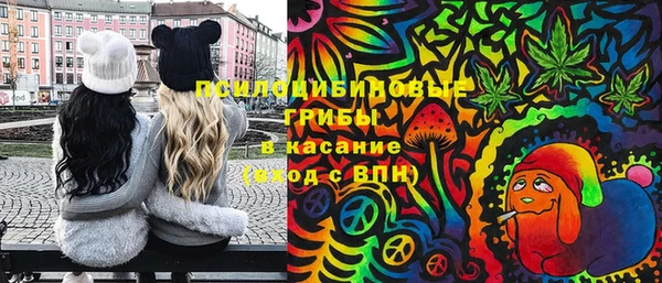 МДПВ Ладушкин