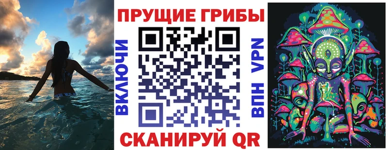Псилоцибиновые грибы Psilocybine cubensis  Керчь 